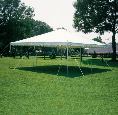 canopy rentals enfield